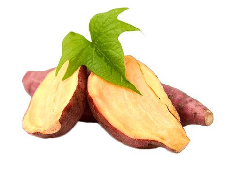 Yacon is rooted in Reduslim