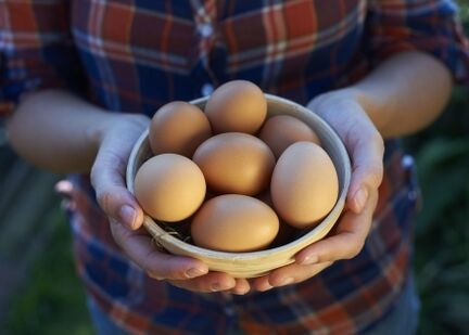 Benefits of eggs