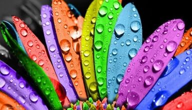 How to lose weight with the six-petal diet