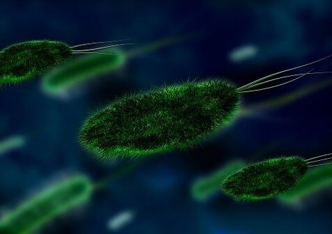 The cause of gastritis is bacteria-Helicobacter pylori